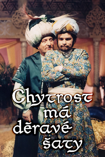 Chytrost má děravé šaty movie poster