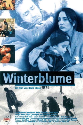 Winter Flowers movie poster