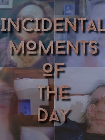 Incidental Moments of the Day movie poster