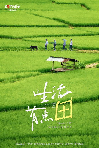 生活有点“田” movie poster