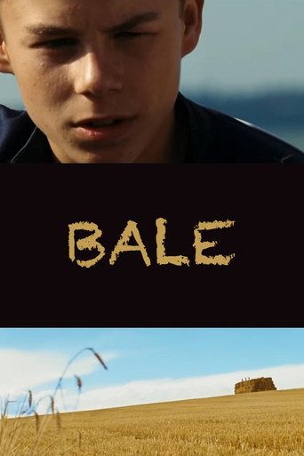 Bale movie poster