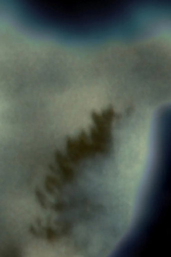 Per una selva oscura movie poster