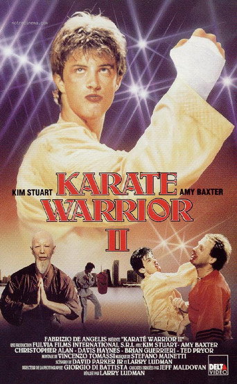 Karate Warrior 2 movie poster