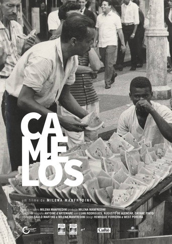 Camelôs movie poster