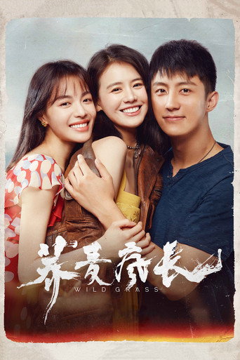Wild Grass movie poster
