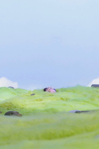 O the Grass Was Warm! movie poster