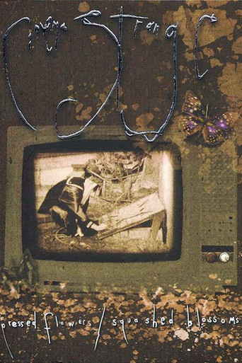 Cinema Strange: Pressed Flowers / Squashed Blossoms movie poster