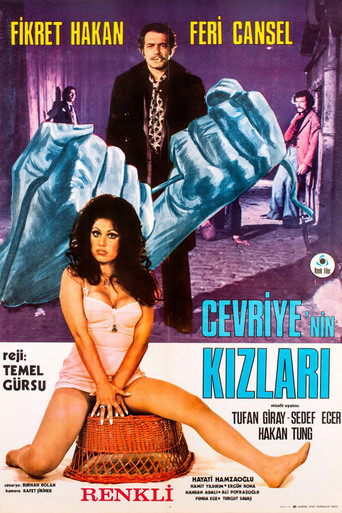 Cevriye'nin Kızları movie poster