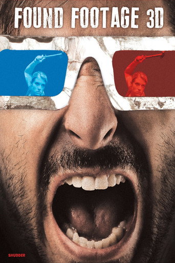 Found Footage 3D movie poster