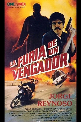 La furia de un vengador movie poster