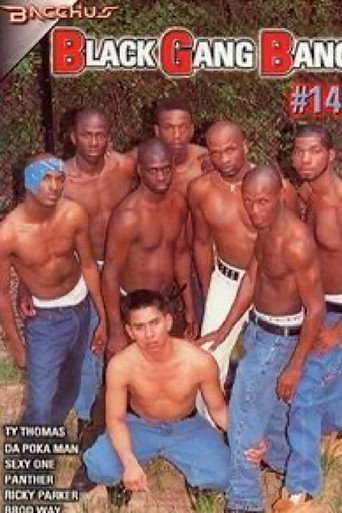 Black Gang Bang 14 movie poster