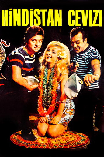 Hindistan Cevizi movie poster