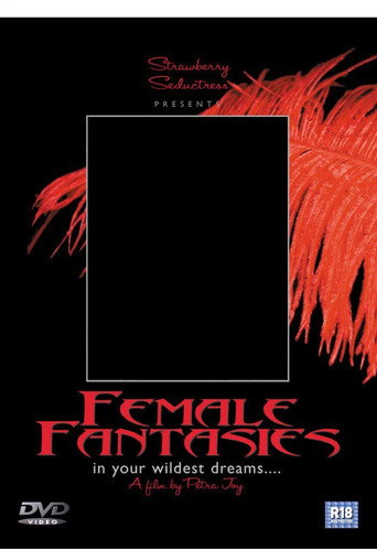 Female Fantasies movie poster