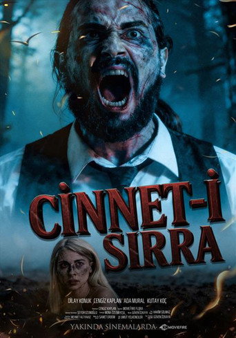 Cinnet-i Sırra movie poster