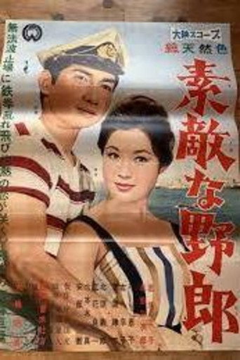 A  Nice Guy movie poster