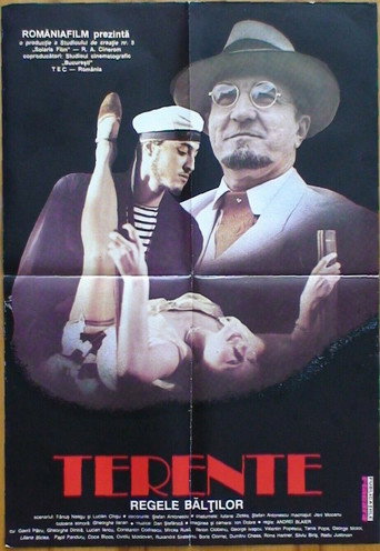 Terente: The King of Swamps movie poster