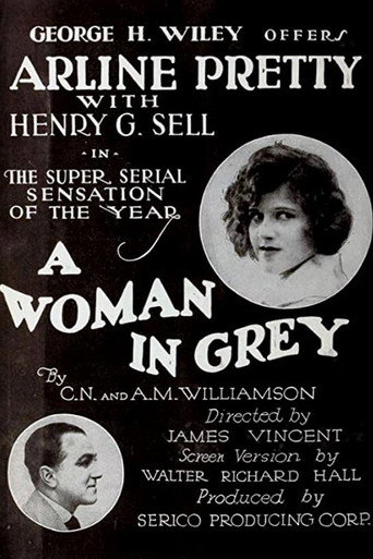 A Woman in Grey movie poster