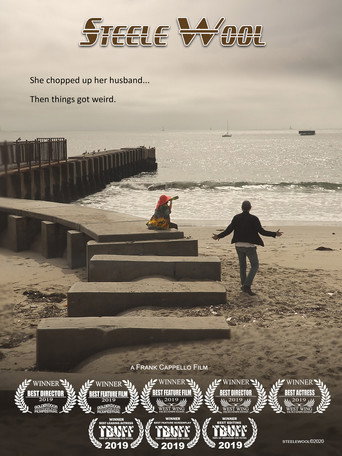 Steele Wool movie poster