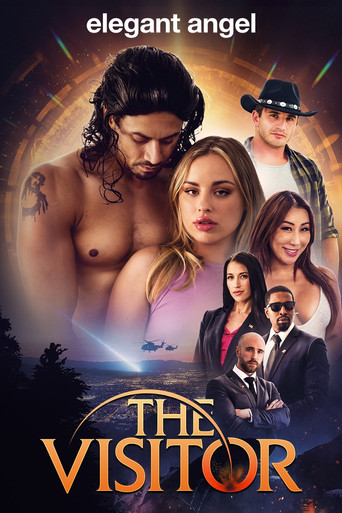 The Visitor movie poster