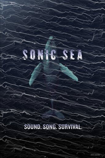 Sonic Sea movie poster