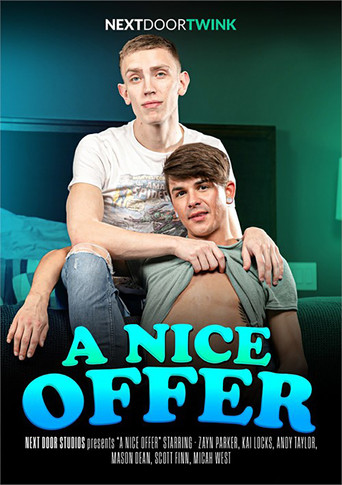 A Nice Offer movie poster