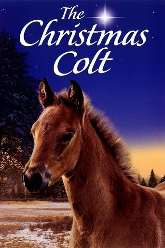The Christmas Colt movie poster