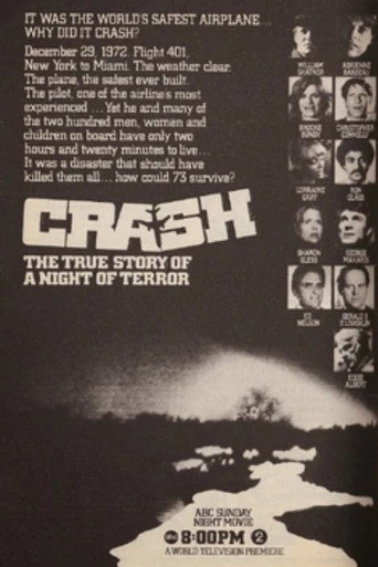 The Crash of Flight 401 movie poster