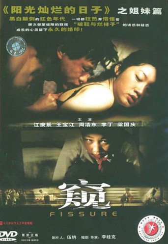 The Crack movie poster
