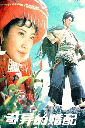 奇异的婚配 movie poster