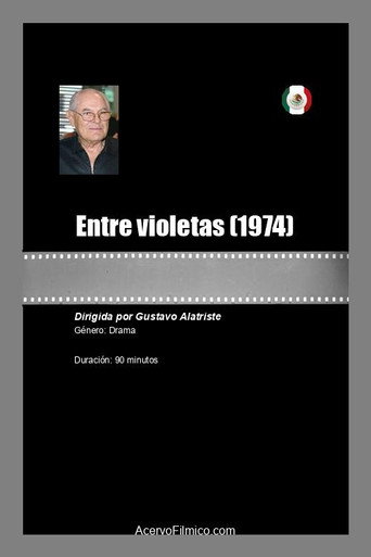 Entre violetas movie poster
