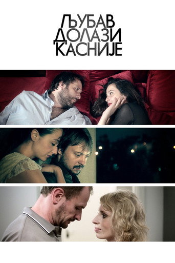Love Comes After movie poster