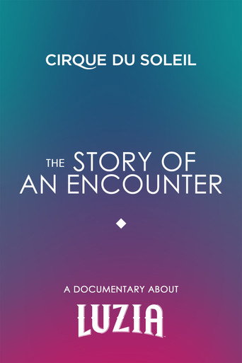 The Story Of An Encounter movie poster