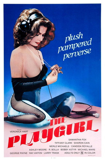 The Playgirl movie poster