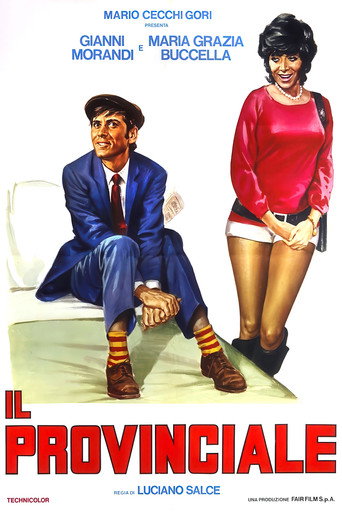 Il provinciale movie poster