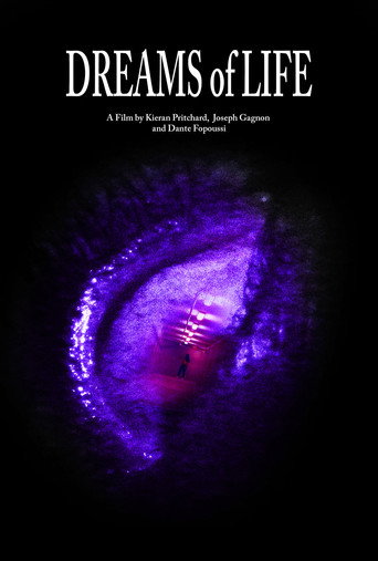 Dreams of Life movie poster
