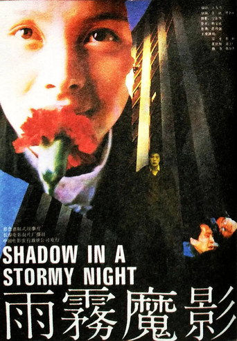 Shadow in a Stormy Night movie poster