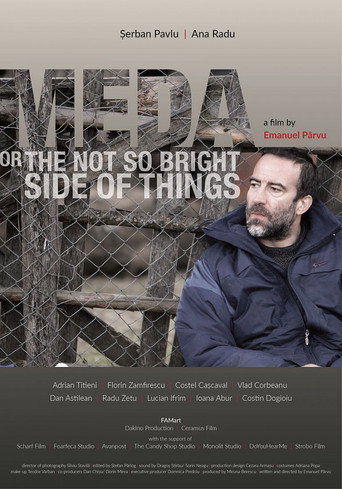 Meda or The Not So Bright Side of Things movie poster