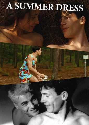 A Summer Dress movie poster