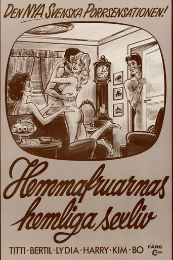 The Secret Sex Lives of Housewives movie poster