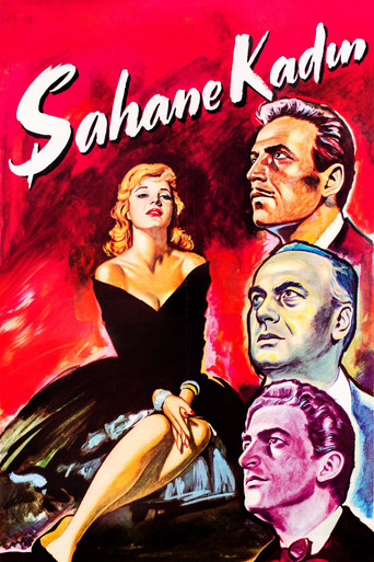 Şahane Kadın movie poster
