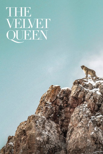 The Velvet Queen movie poster