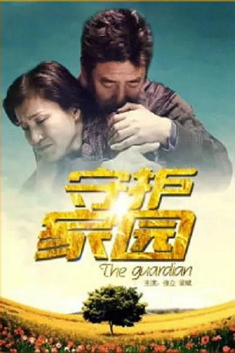 守护家园 movie poster