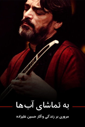 Endless Vision movie poster