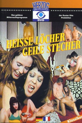 Heiße Löcher - Geile Stecher movie poster