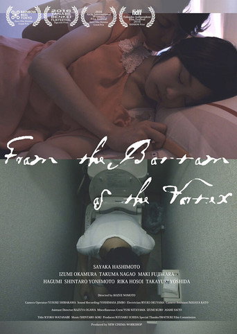 From the Bottom of the Vortex movie poster