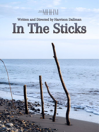 In The Sticks movie poster