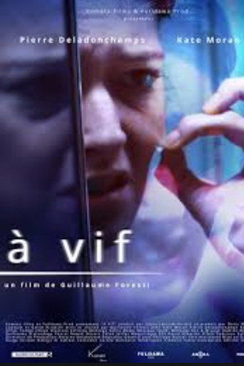 Vivid movie poster