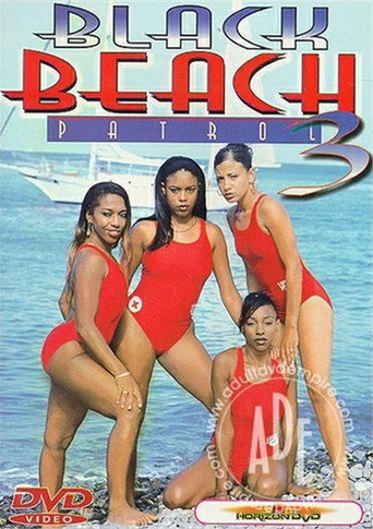 Black Beach Patrol 3 movie poster