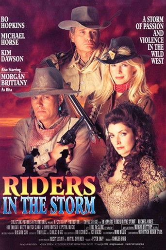 Riders in the Storm movie poster