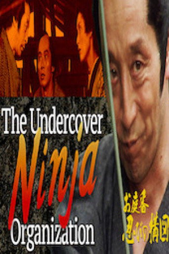 The Undercover Ninja Organization movie poster
